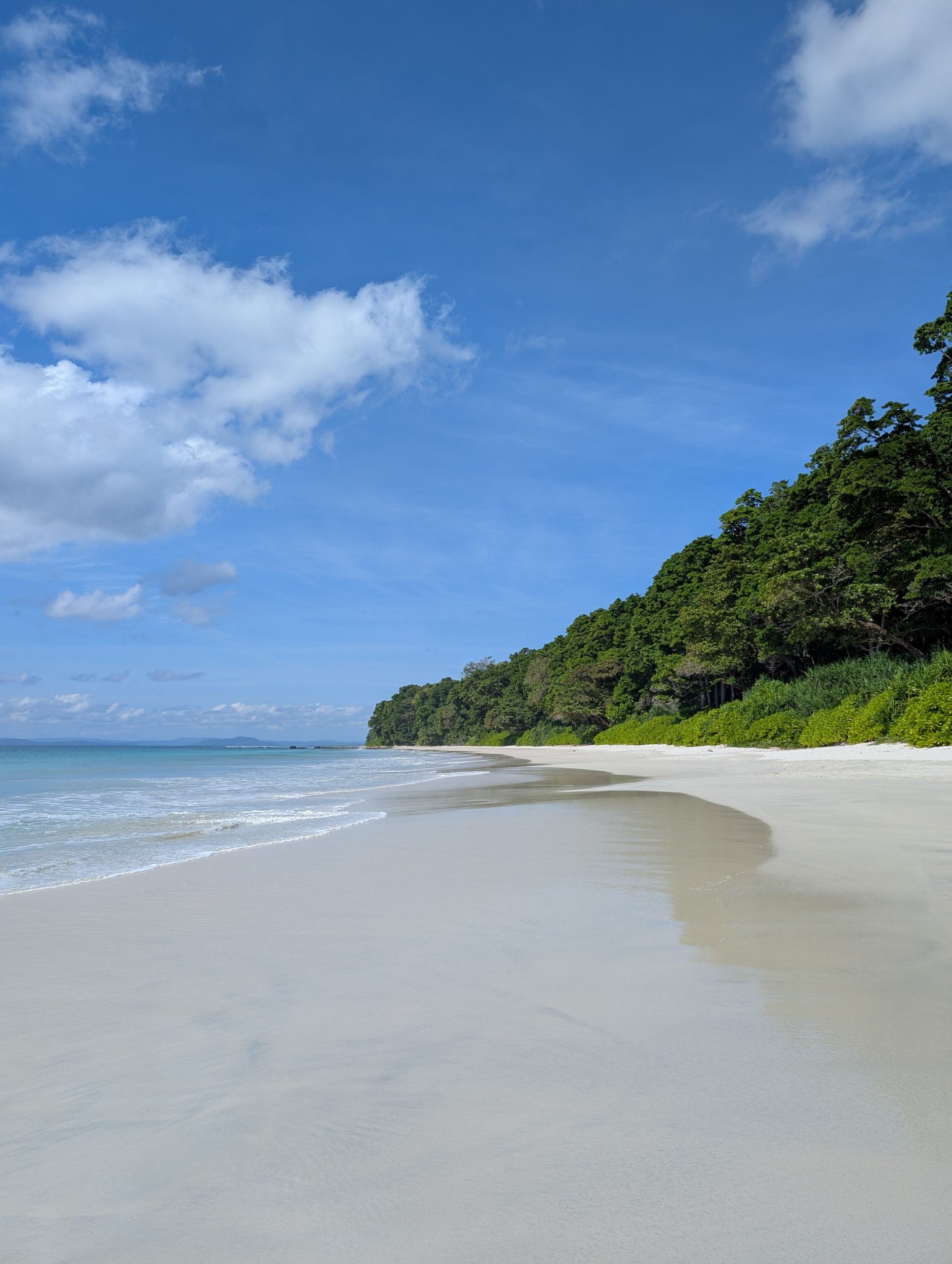 Peaceful beach view in Andaman with clear skies, vibrant greenery, and pristine shoreline.